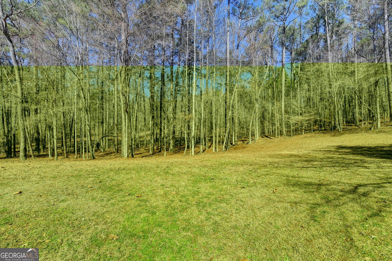 60 Hickory Hill Drive Oxford - Photo 95