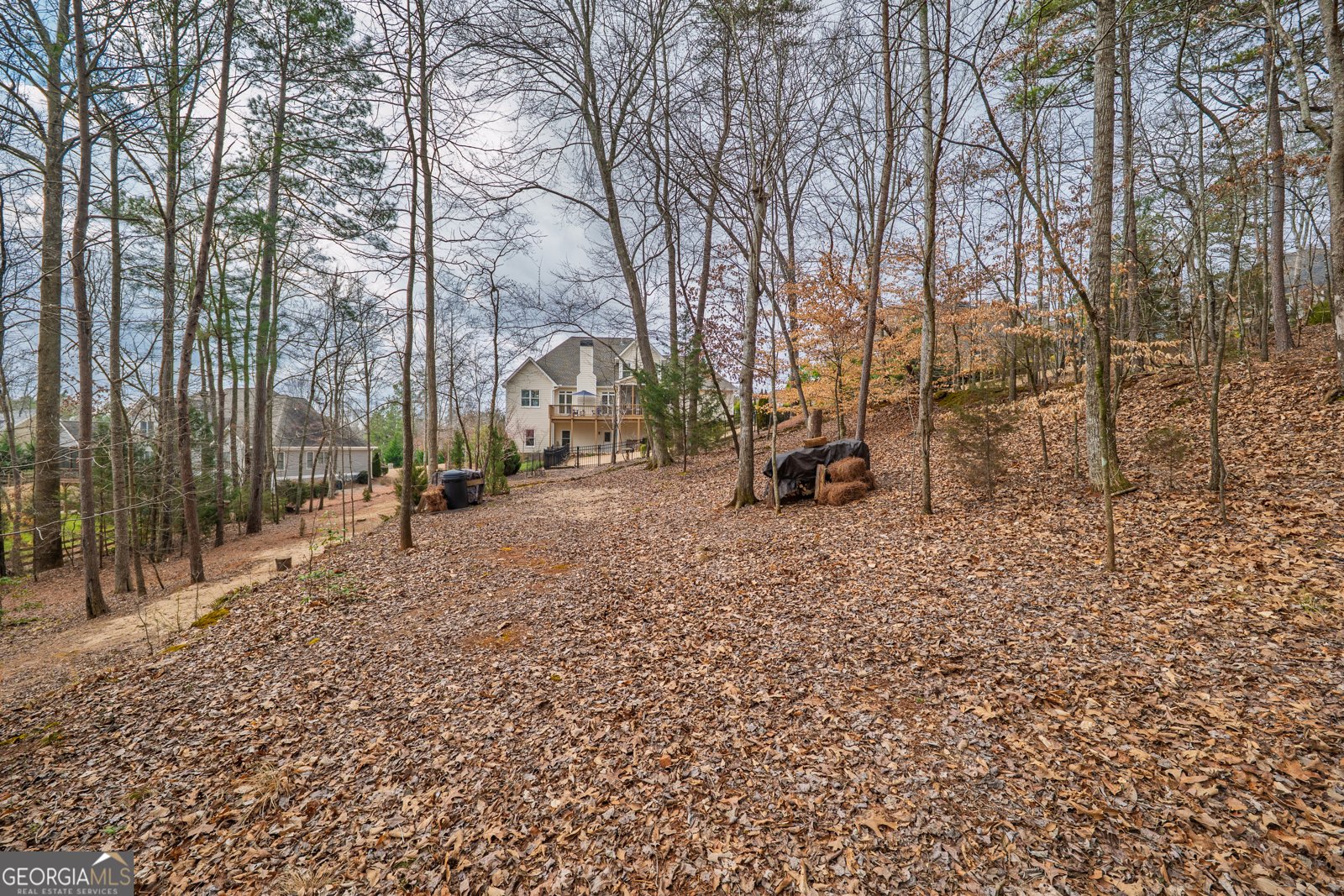 132 Chestnut Oak Lane Dawsonville - Photo 59