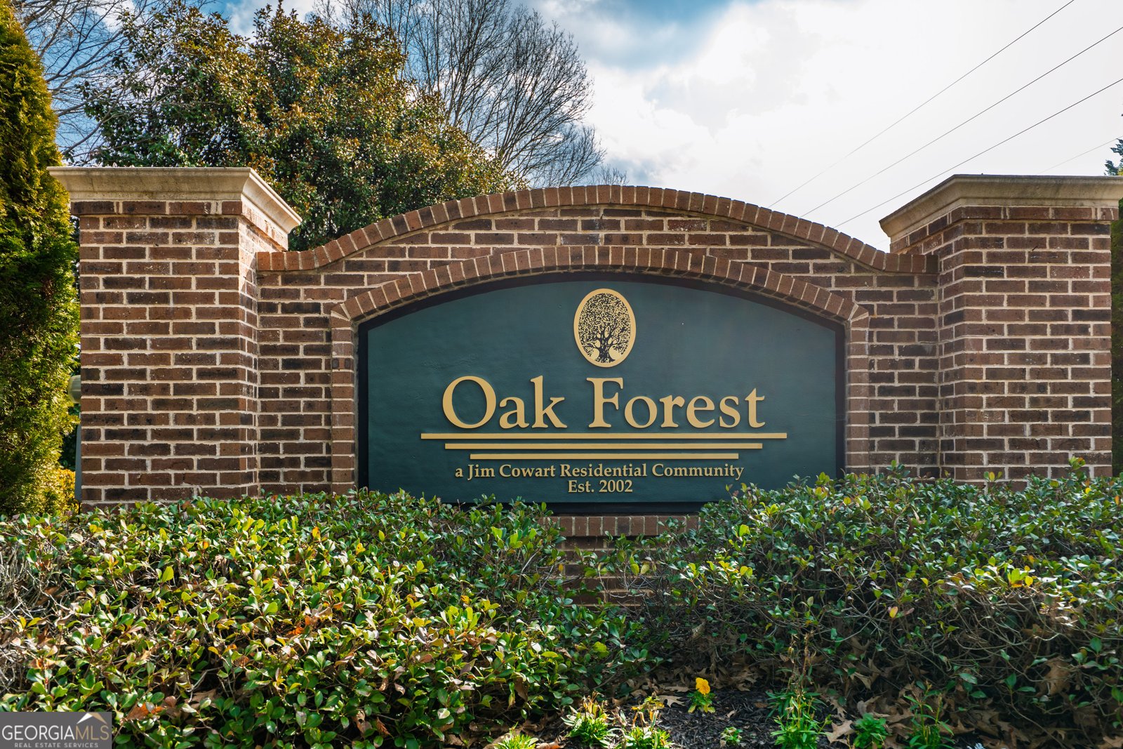 132 Chestnut Oak Lane Dawsonville - Photo 78