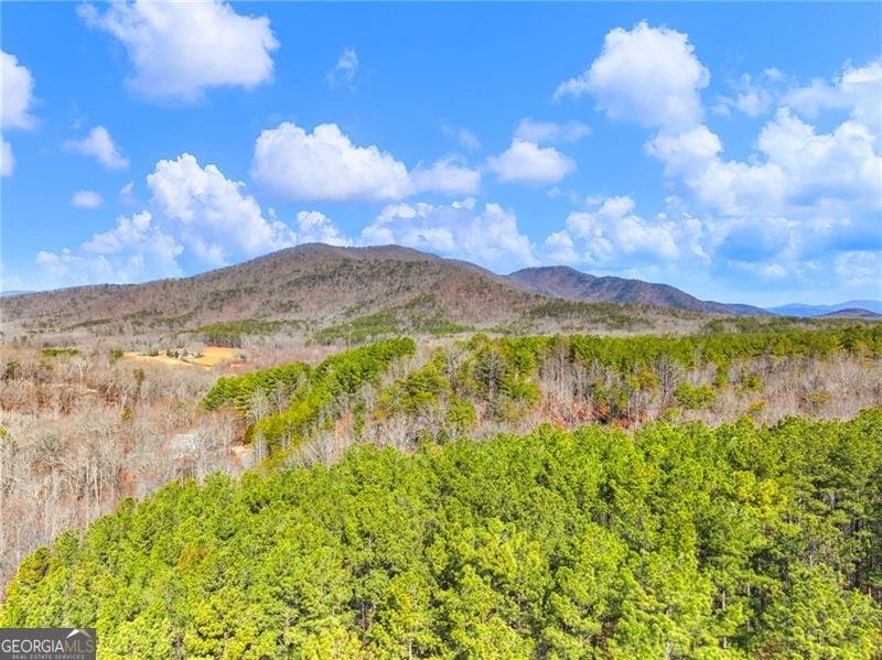 4179 Highway 129 Cleveland - Photo 42