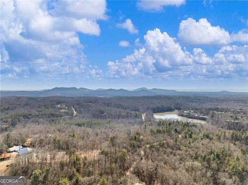 4179 Highway 129 Cleveland - Photo 44