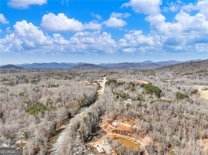 4179 Highway 129 Cleveland - Photo 45