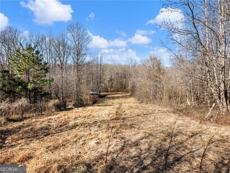 4179 Highway 129 Cleveland - Photo 65