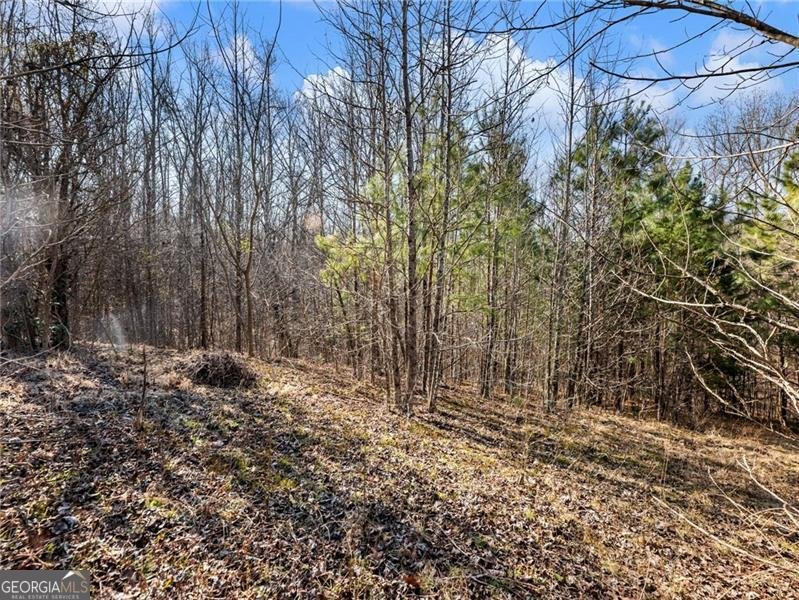 4179 Highway 129 Cleveland - Photo 67