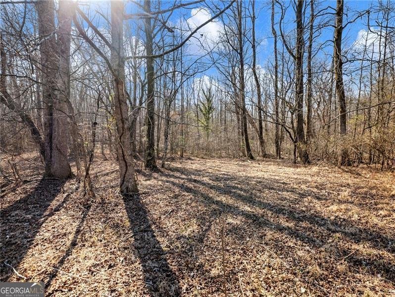 4179 Highway 129 Cleveland - Photo 69