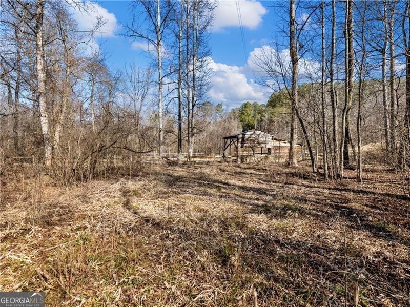 4179 Highway 129 Cleveland - Photo 76