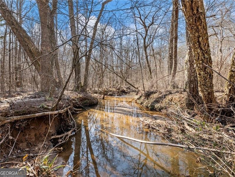 4179 Highway 129 Cleveland - Photo 77