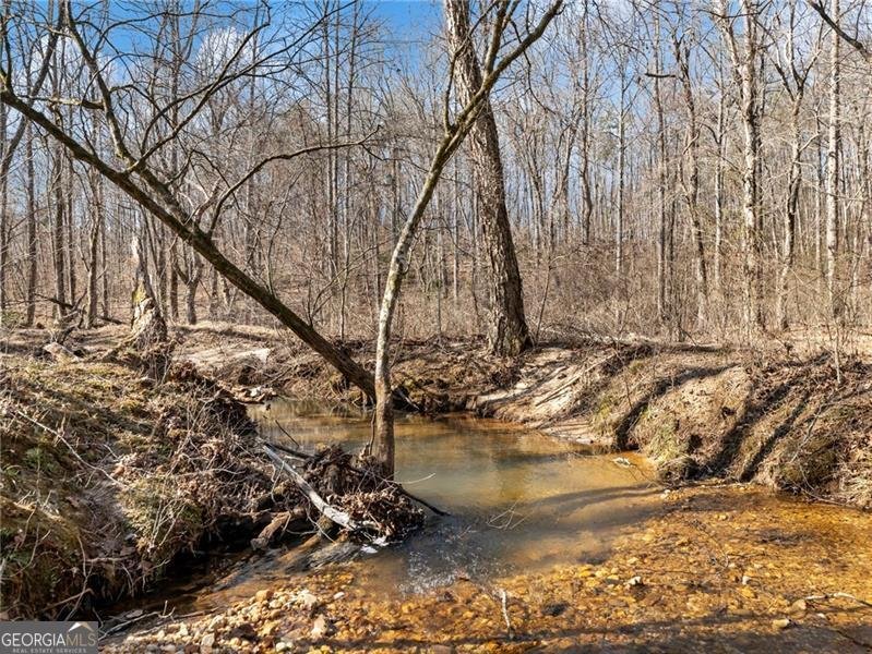 4179 Highway 129 Cleveland - Photo 78