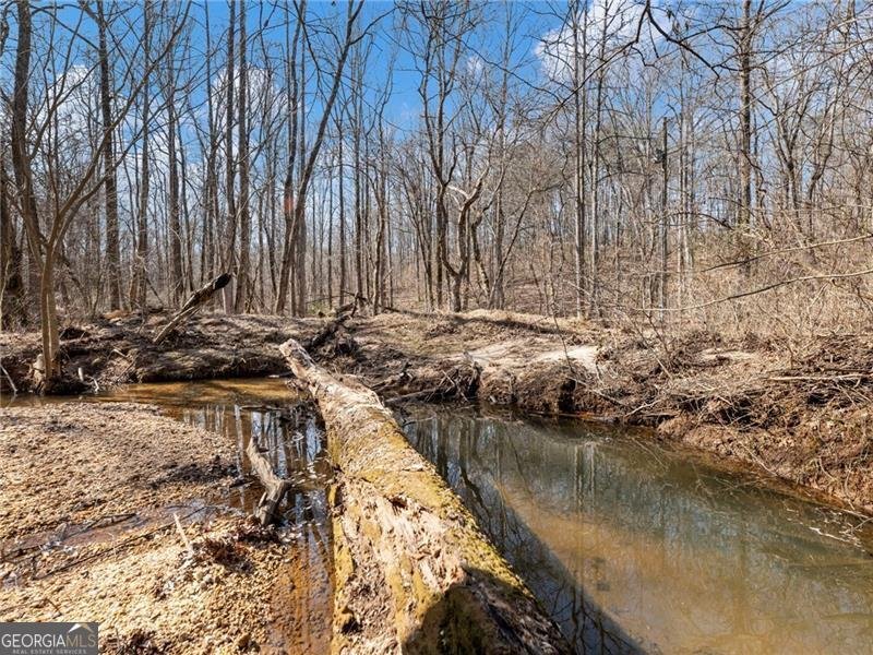 4179 Highway 129 Cleveland - Photo 79