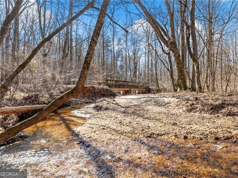 4179 Highway 129 Cleveland - Photo 80