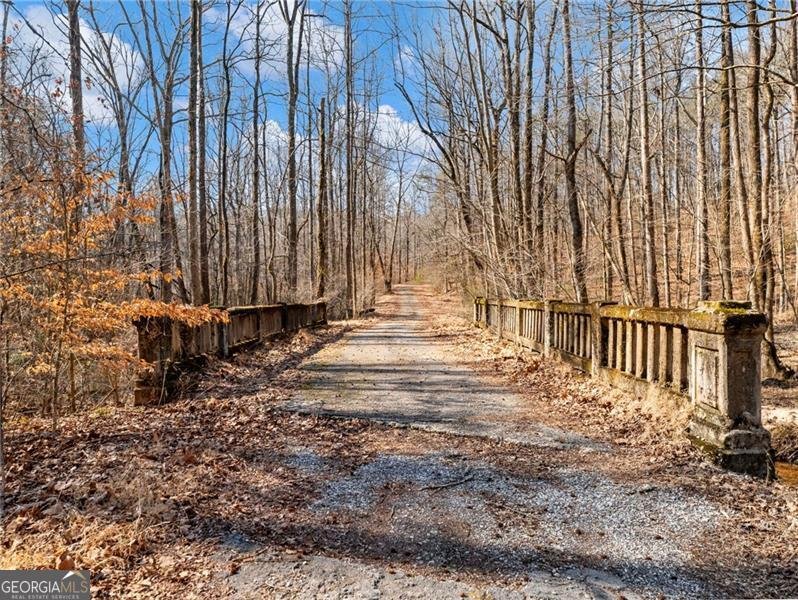 4179 Highway 129 Cleveland - Photo 81