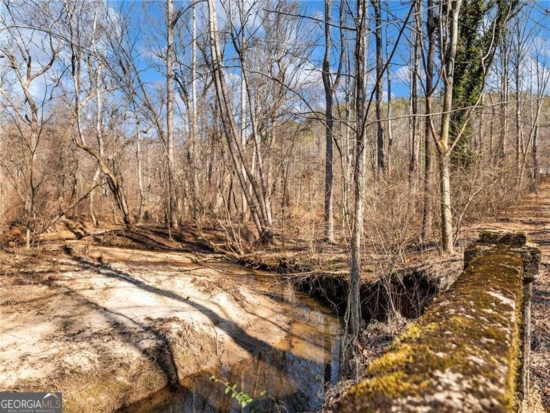 4179 Highway 129 Cleveland - Photo 83