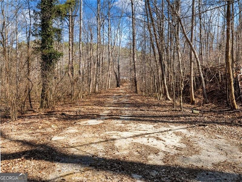 4179 Highway 129 Cleveland - Photo 84