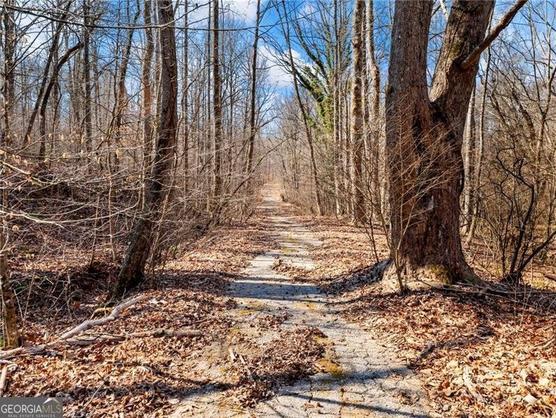 4179 Highway 129 Cleveland - Photo 85