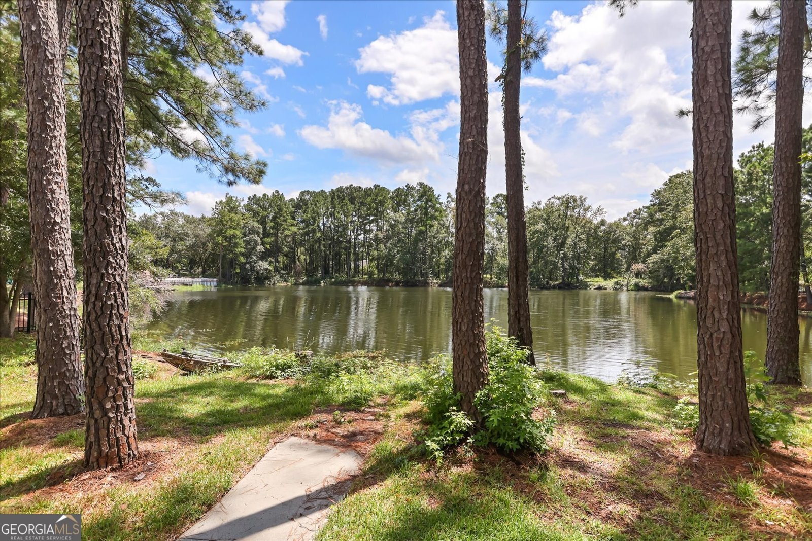 203 Cypress Lakes Drive Bloomingdale - Photo 50