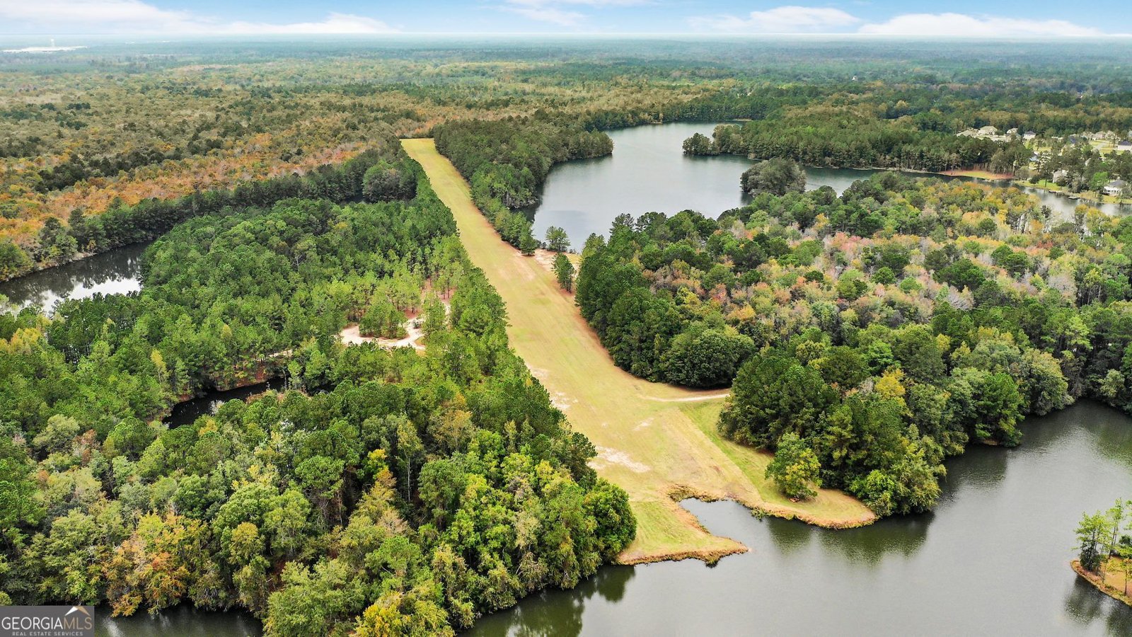 203 Cypress Lakes Drive Bloomingdale - Photo 53