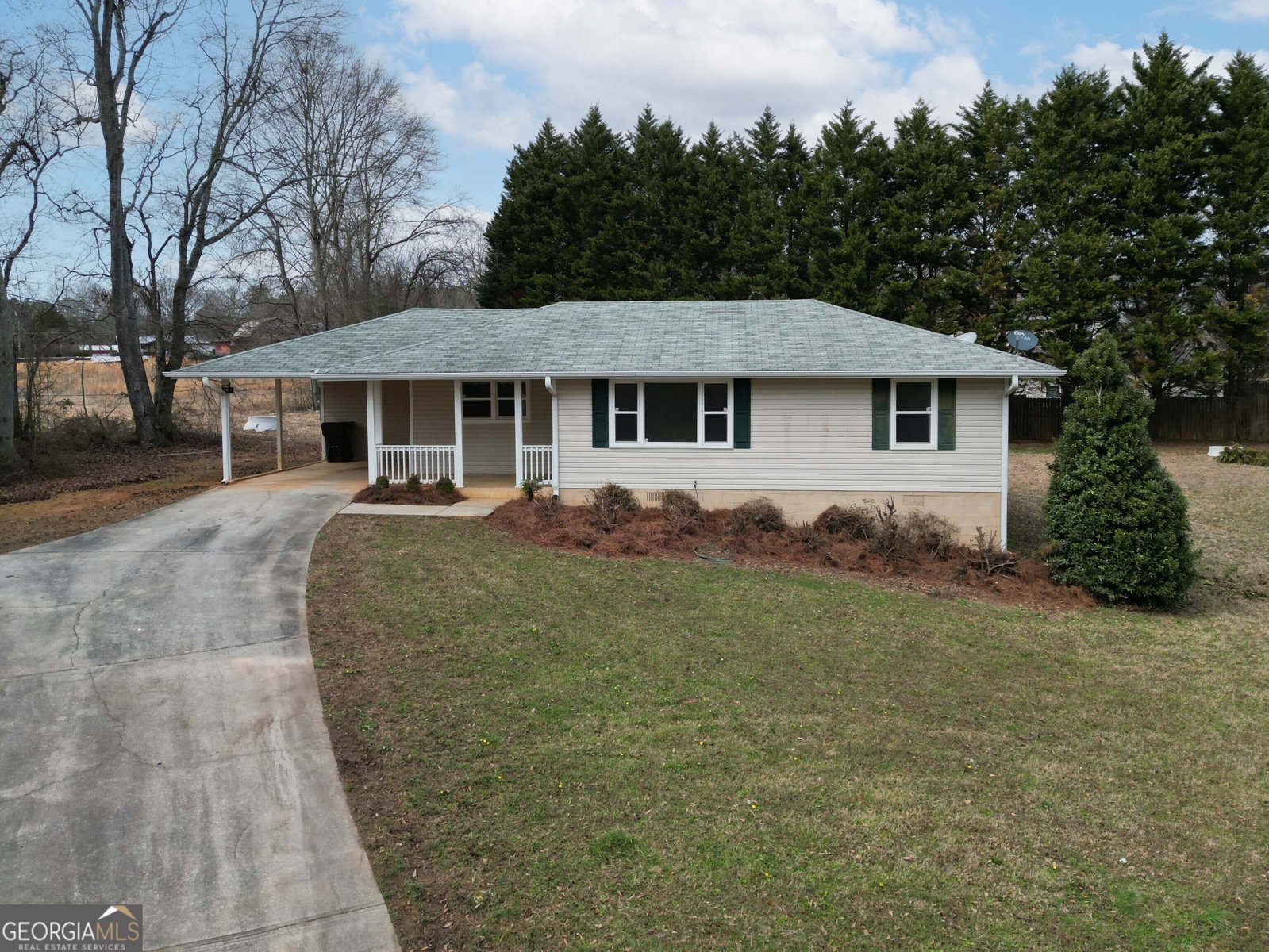 1737 Virgil Moon Road Loganville - Photo 1