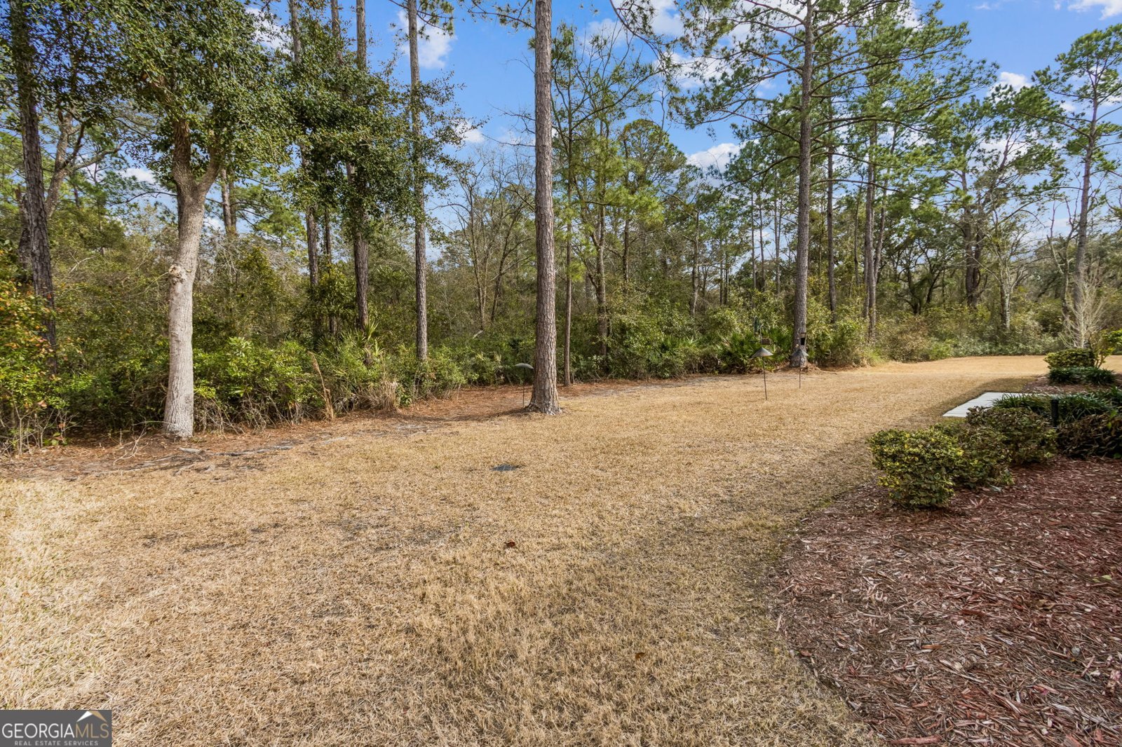 326 Nutgall Drive St. Marys - Photo 52