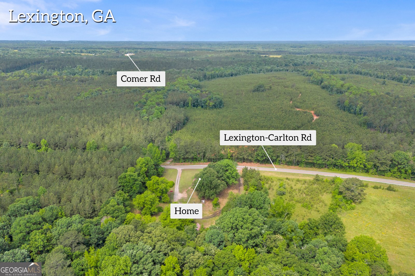 366 Lexington Carlton Road Lexington - Photo 17