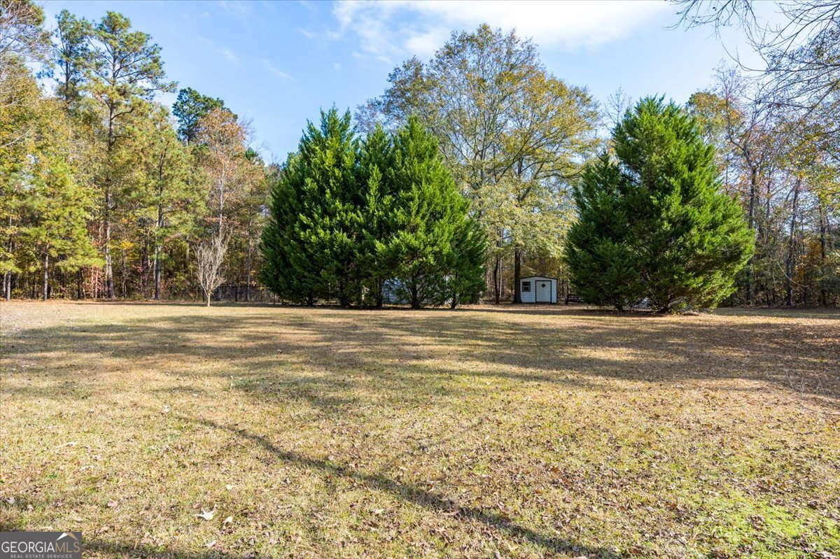 428 Fairview Church Road Forsyth - Photo 24