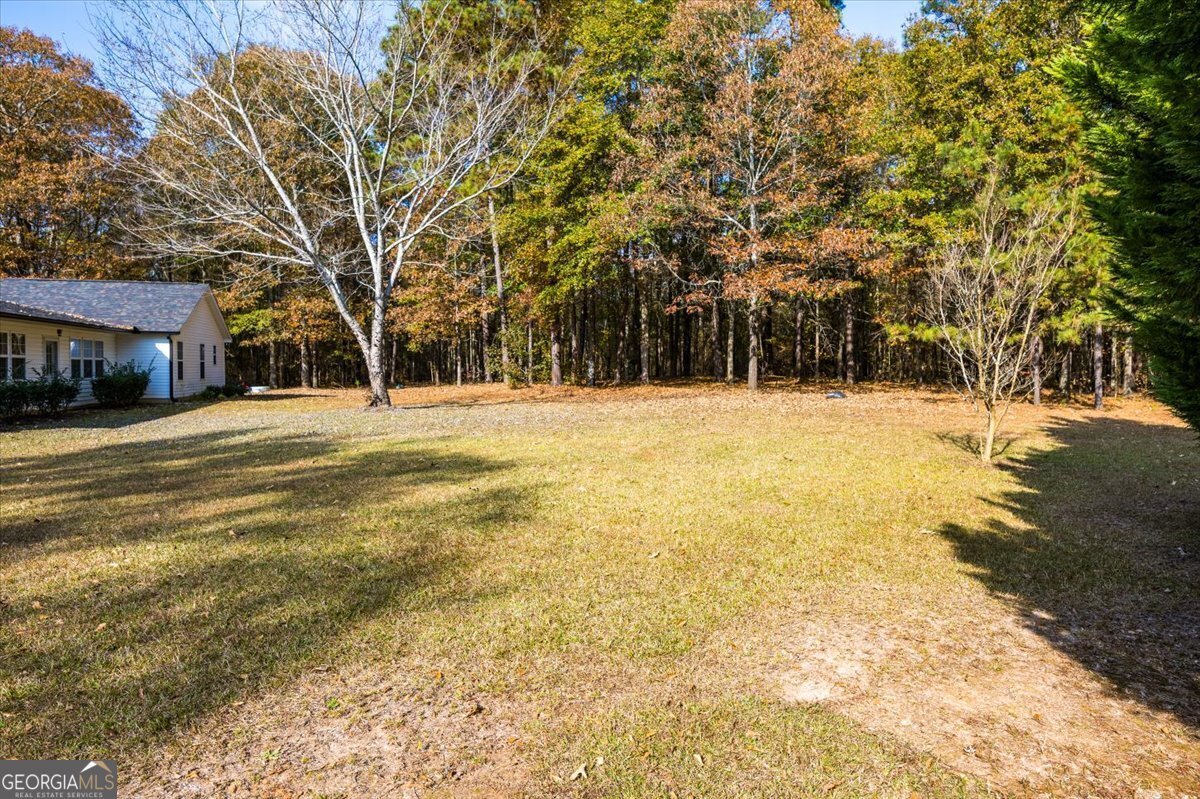 428 Fairview Church Road Forsyth - Photo 29