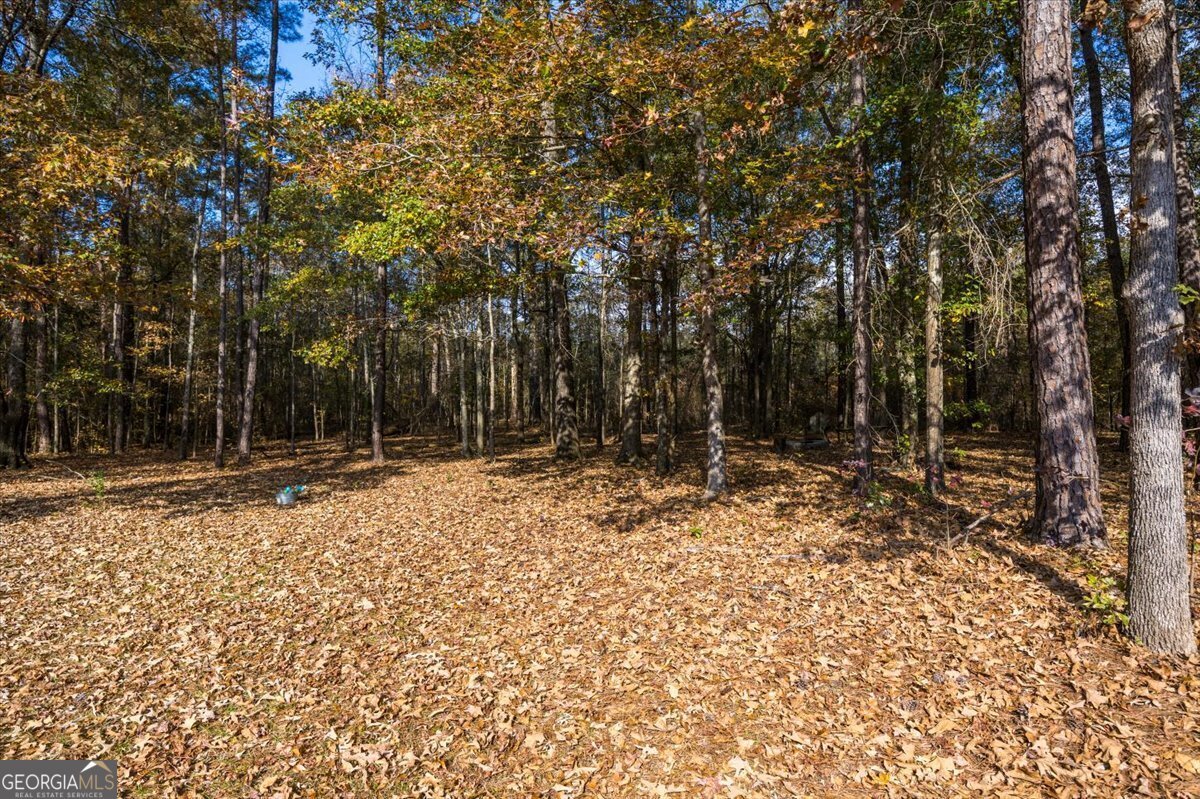 428 Fairview Church Road Forsyth - Photo 32