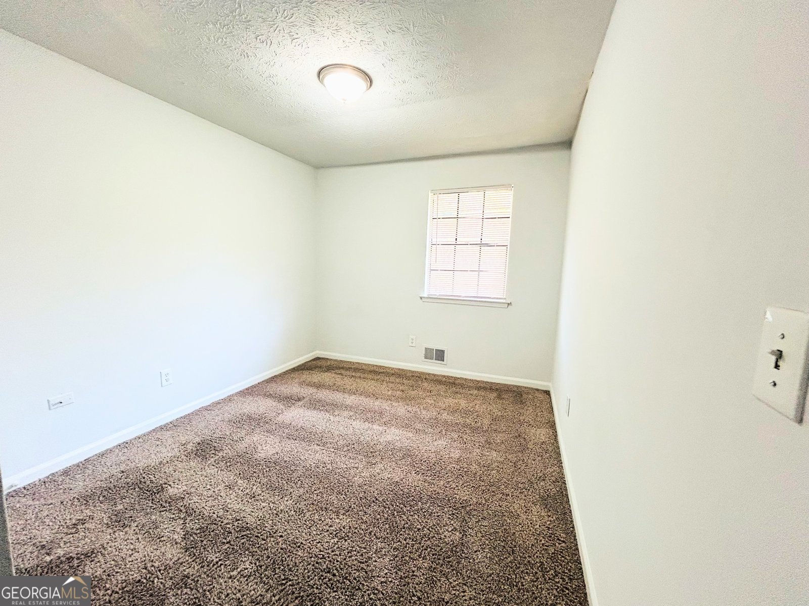 1211 Cedar Creek Court Conyers - Photo 9