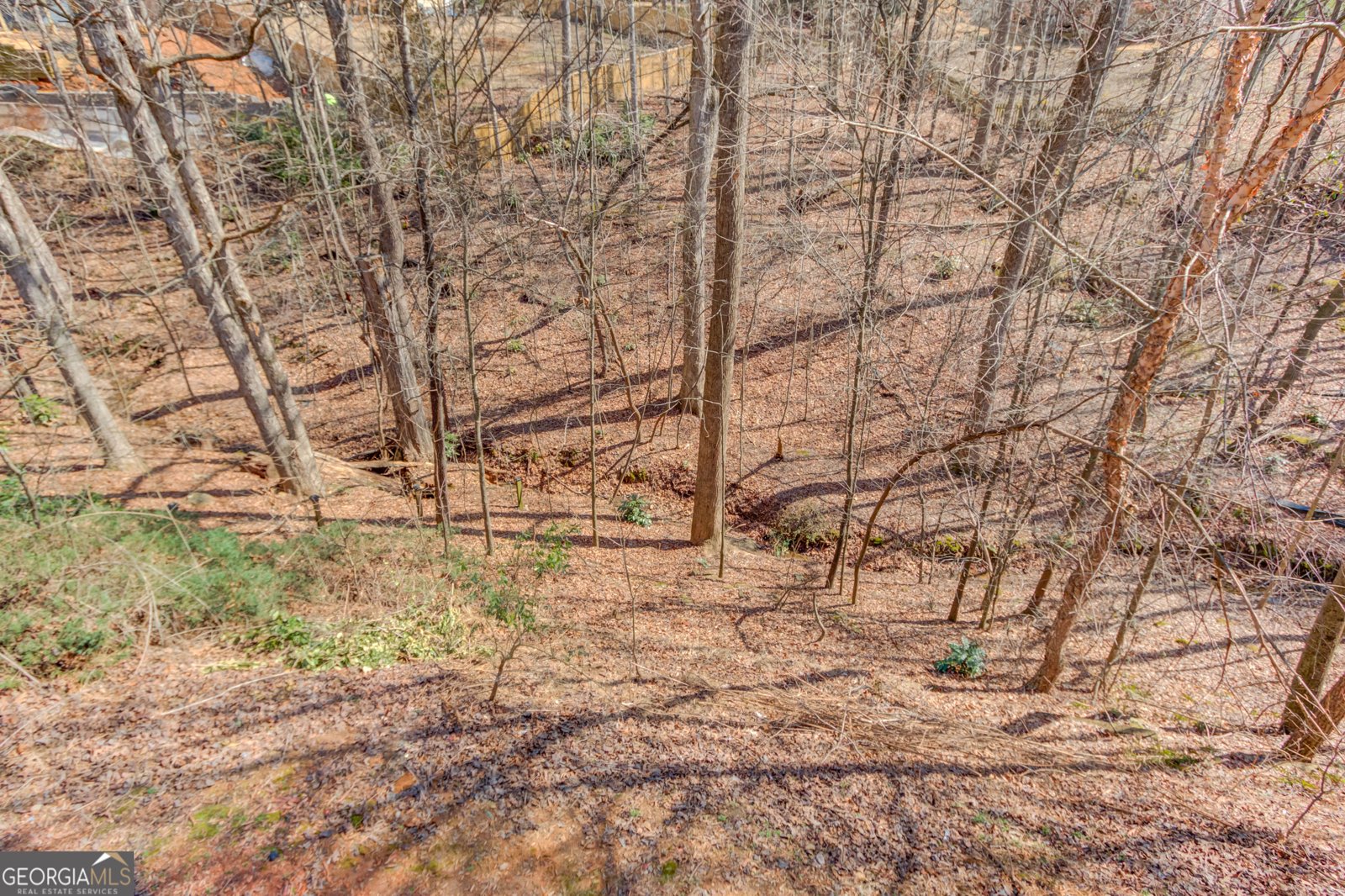 6925 River Island Circle Buford - Photo 24