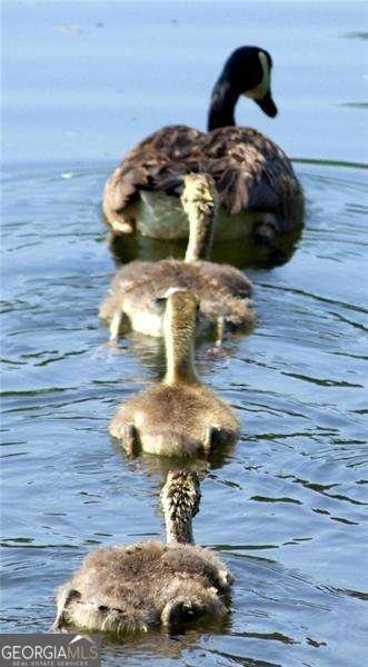 370 Kenilworth Circle Stone Mountain - Photo 33