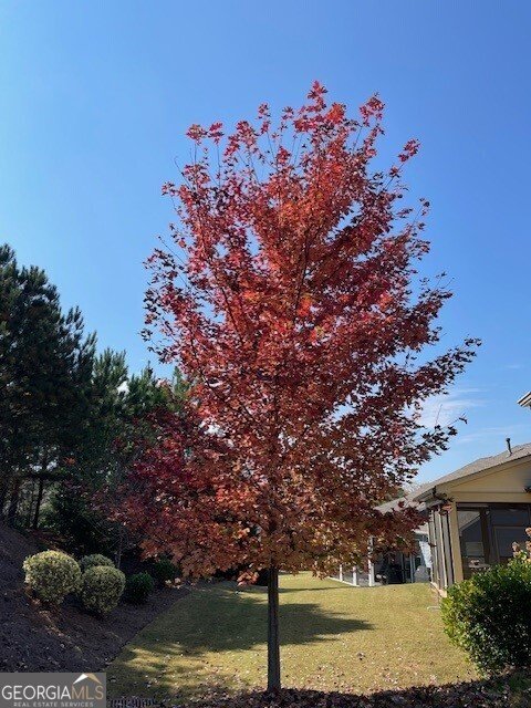 215 Spruce Pine Circle Peachtree City - Photo 34