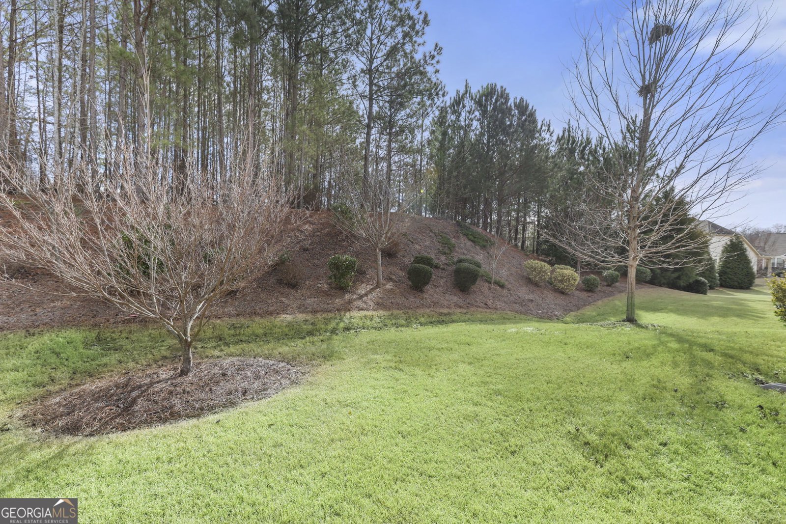 215 Spruce Pine Circle Peachtree City - Photo 35
