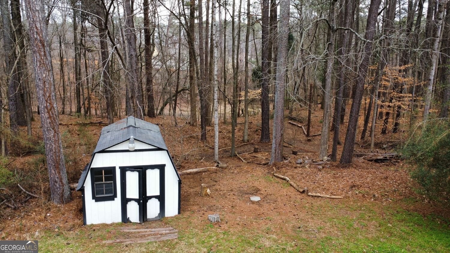 3855 Laurel Falls Drive Snellville - Photo 31