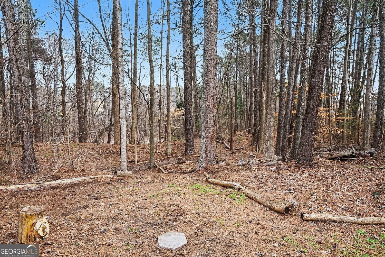 3855 Laurel Falls Drive Snellville - Photo 32