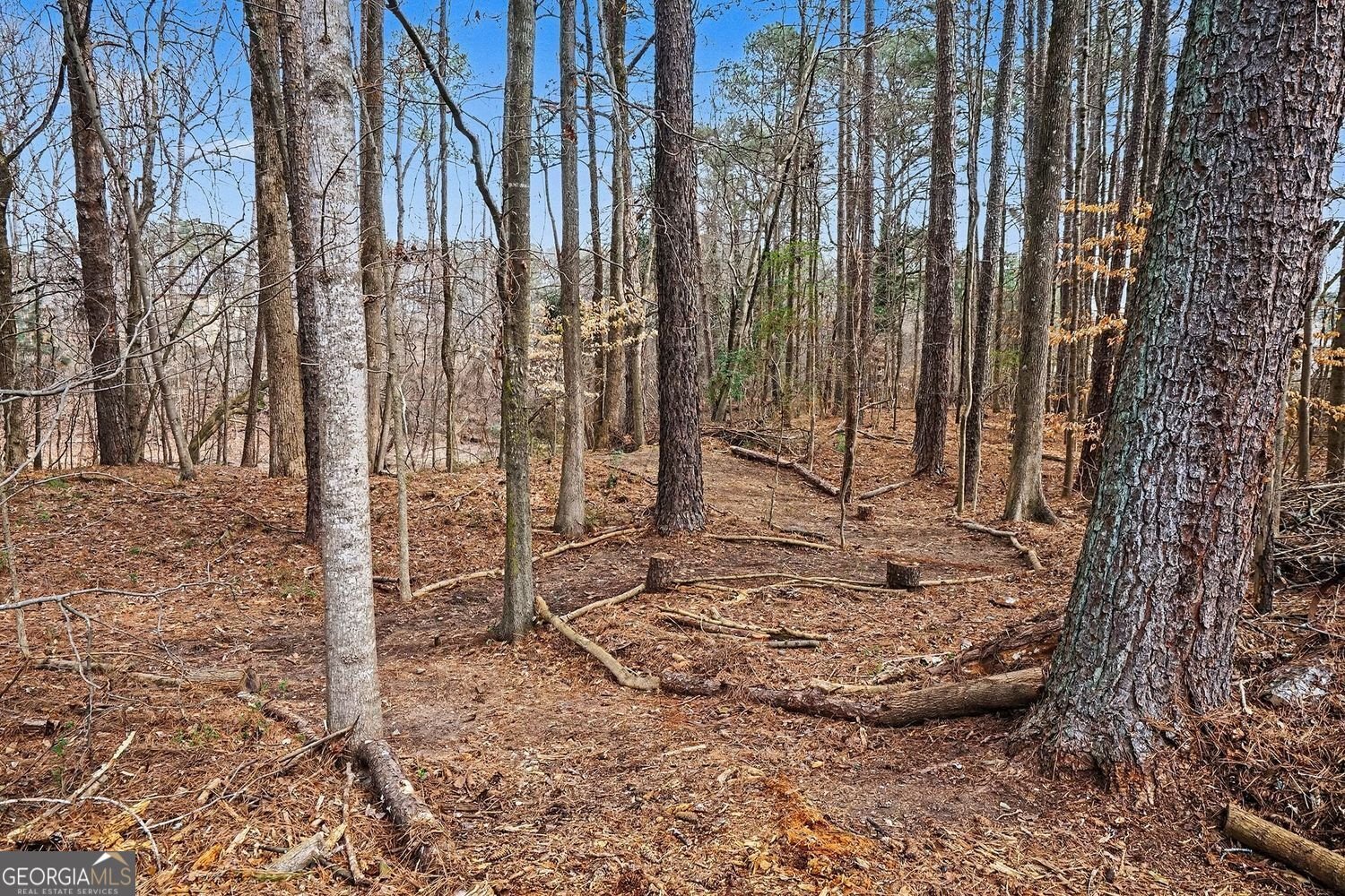 3855 Laurel Falls Drive Snellville - Photo 33