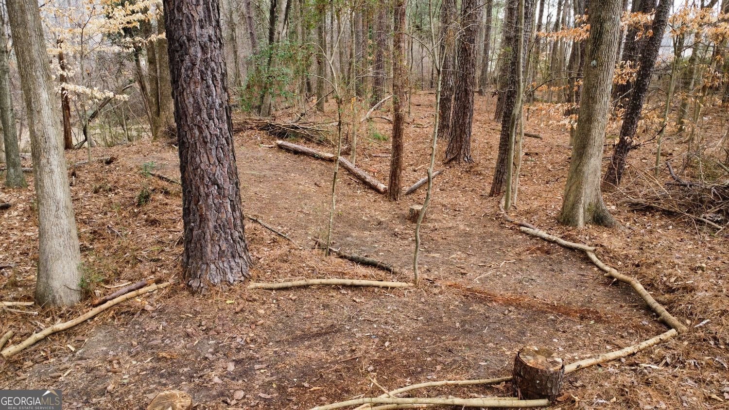 3855 Laurel Falls Drive Snellville - Photo 34