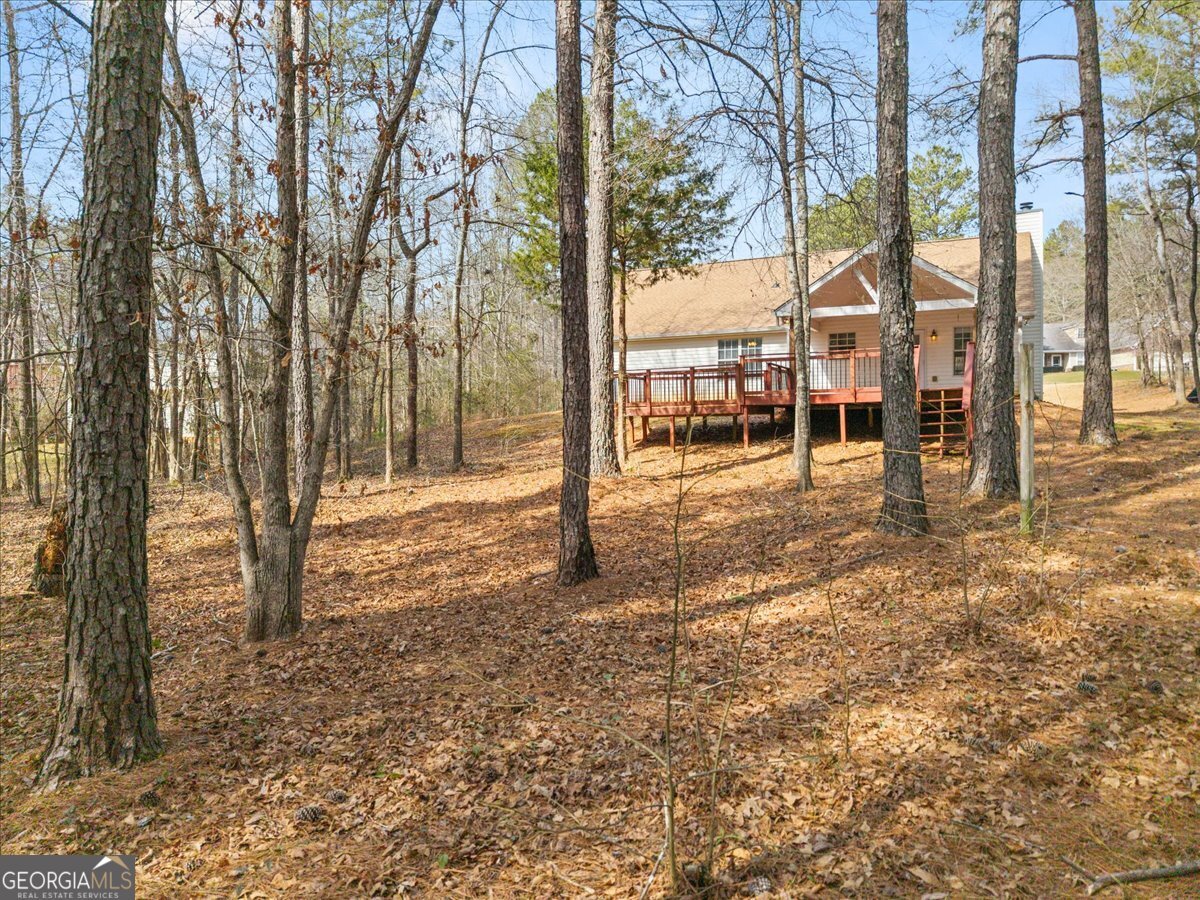 1022 Miss Amber Way Locust Grove - Photo 36