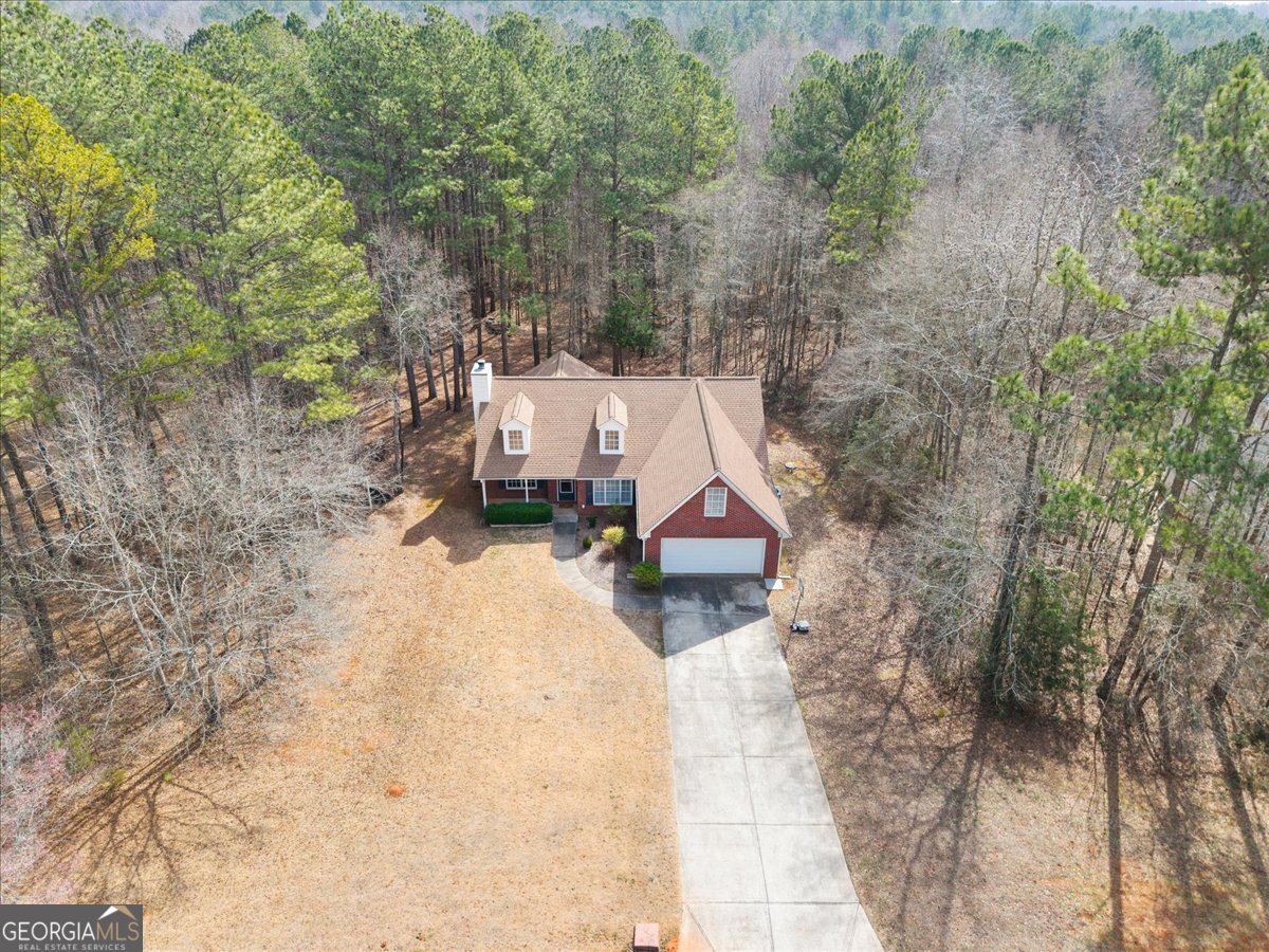 1022 Miss Amber Way Locust Grove - Photo 39