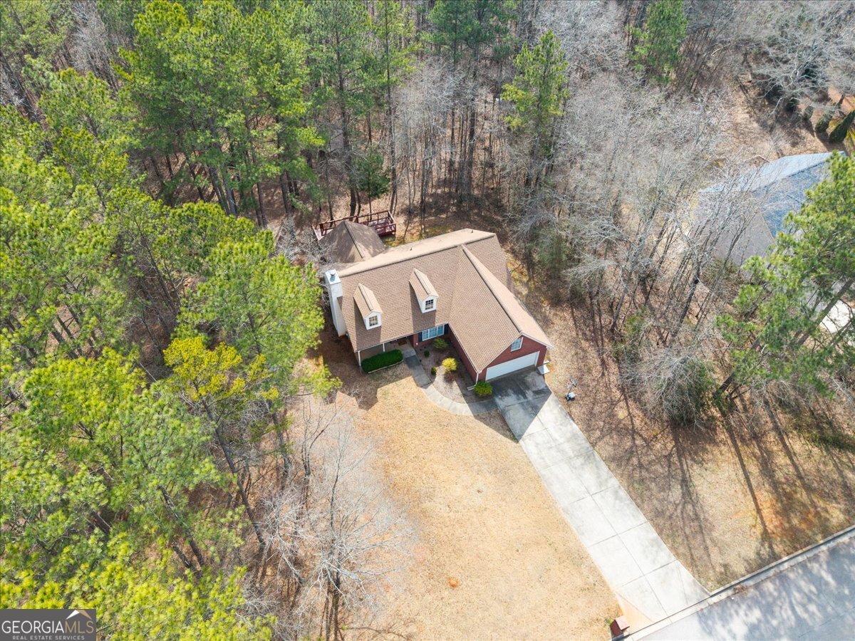 1022 Miss Amber Way Locust Grove - Photo 41