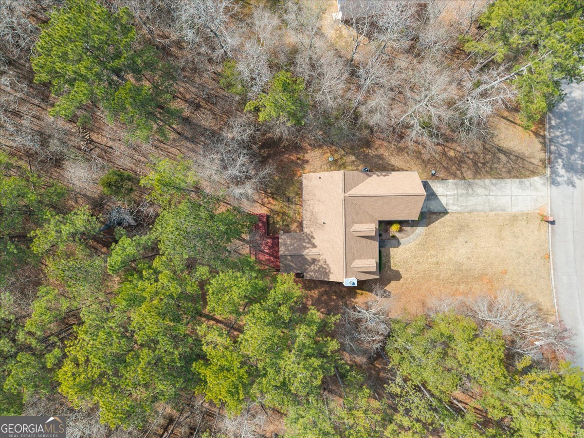 1022 Miss Amber Way Locust Grove - Photo 42