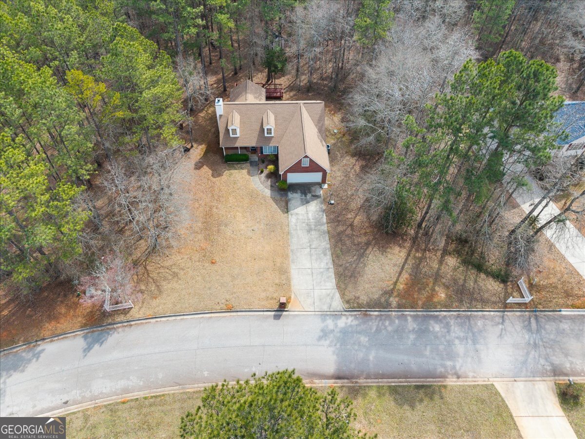 1022 Miss Amber Way Locust Grove - Photo 43