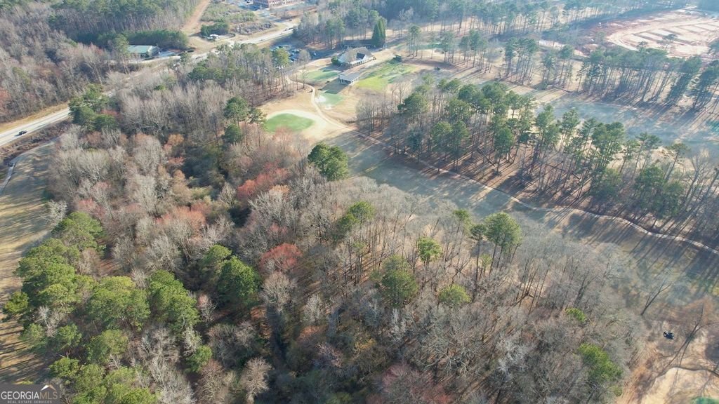 9135 Golfview Lane Covington - Photo 17