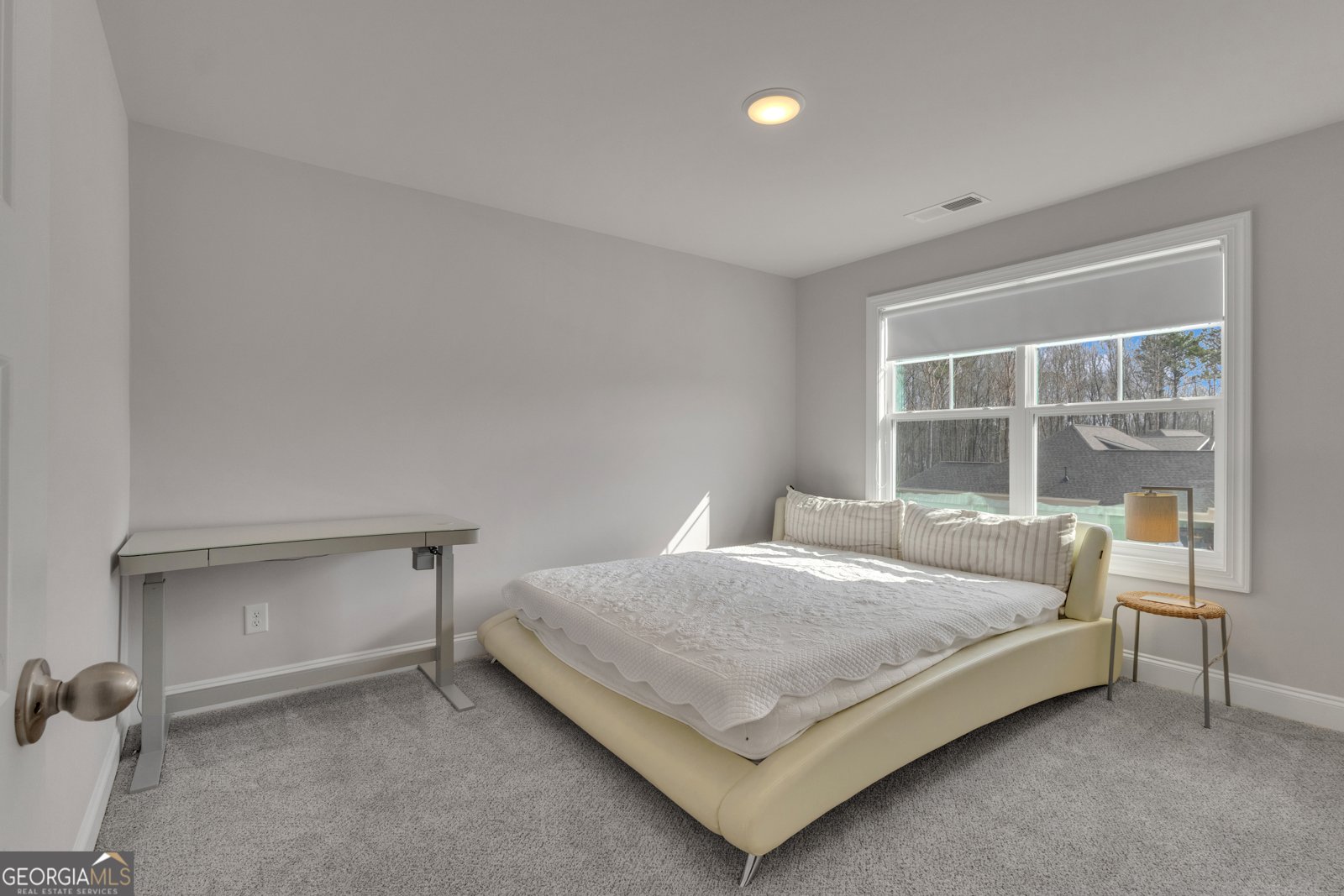 21 Long Branch Trail Sharpsburg - Photo 35