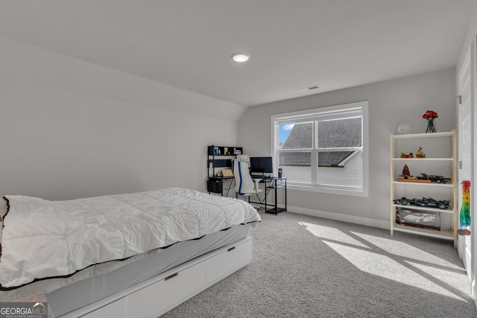 21 Long Branch Trail Sharpsburg - Photo 39