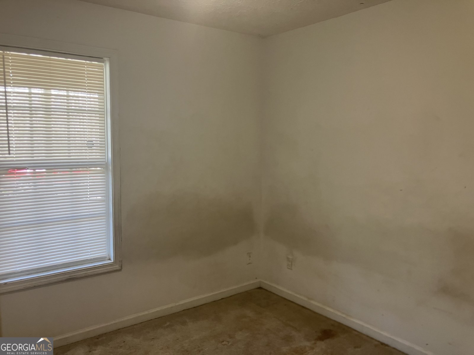 227 Autumn Drive Nicholson - Photo 13