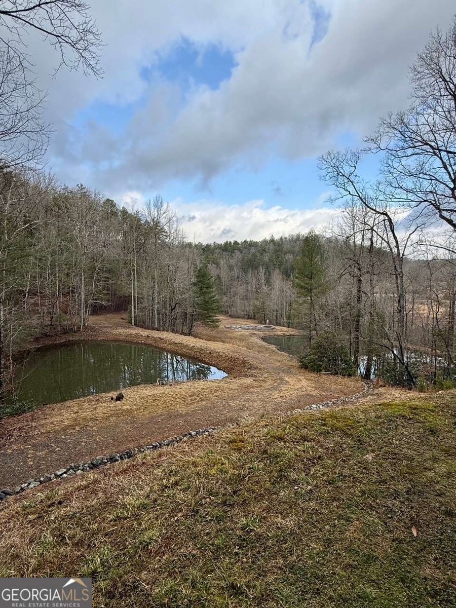 1365 Skylake Road Sautee Nacoochee - Photo 33