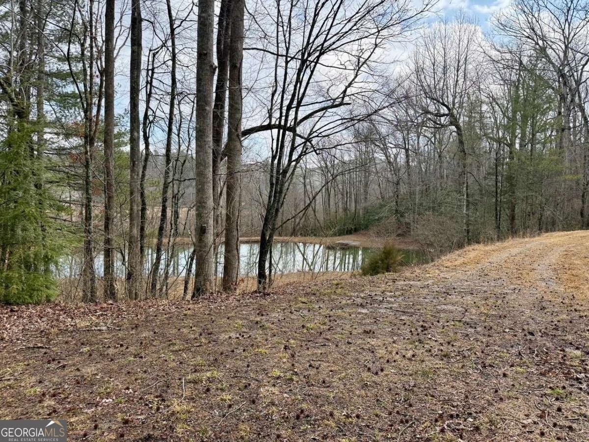 1365 Skylake Road Sautee Nacoochee - Photo 35