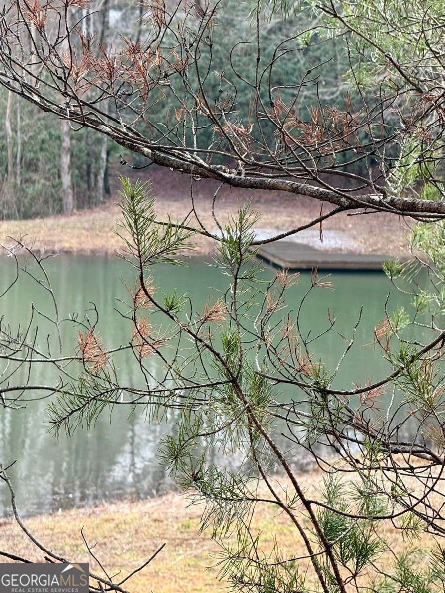 1365 Skylake Road Sautee Nacoochee - Photo 36