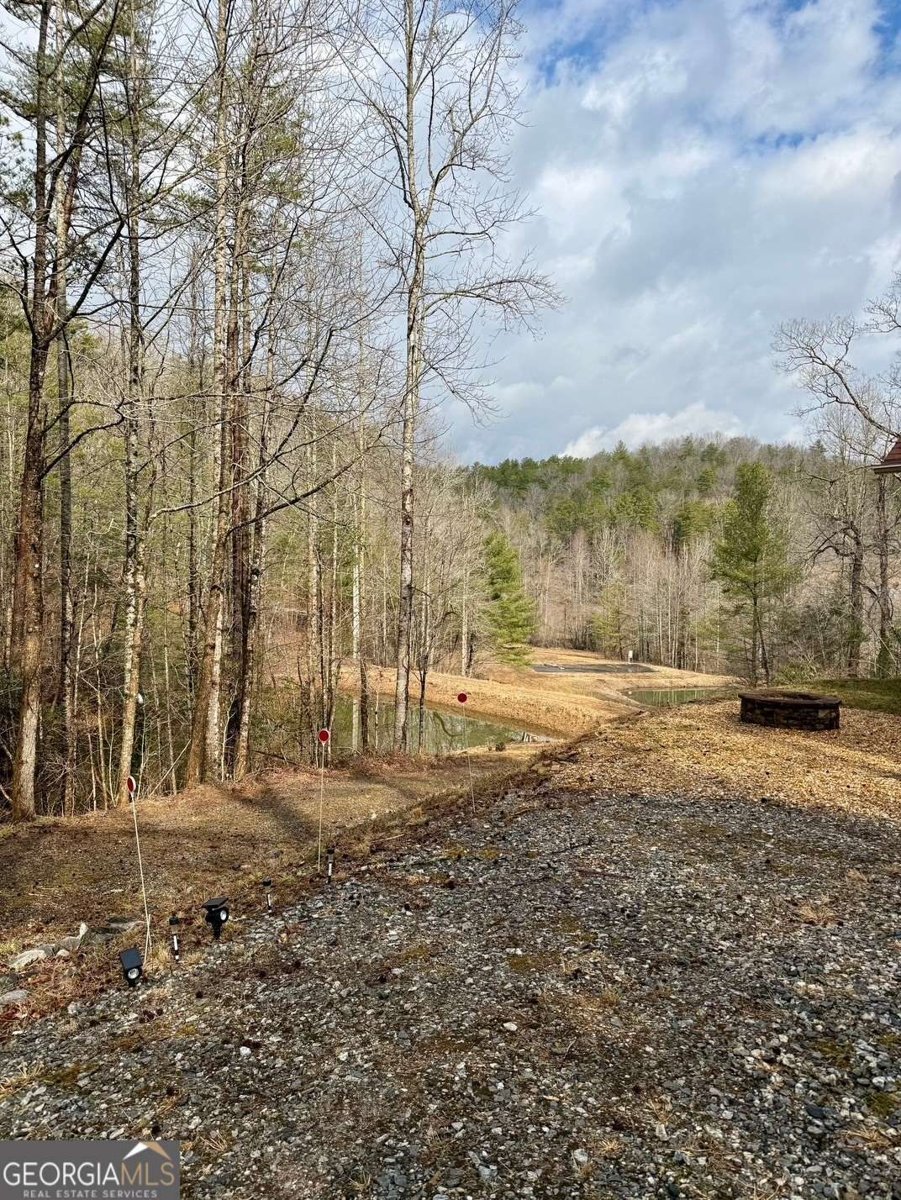 1365 Skylake Road Sautee Nacoochee - Photo 44