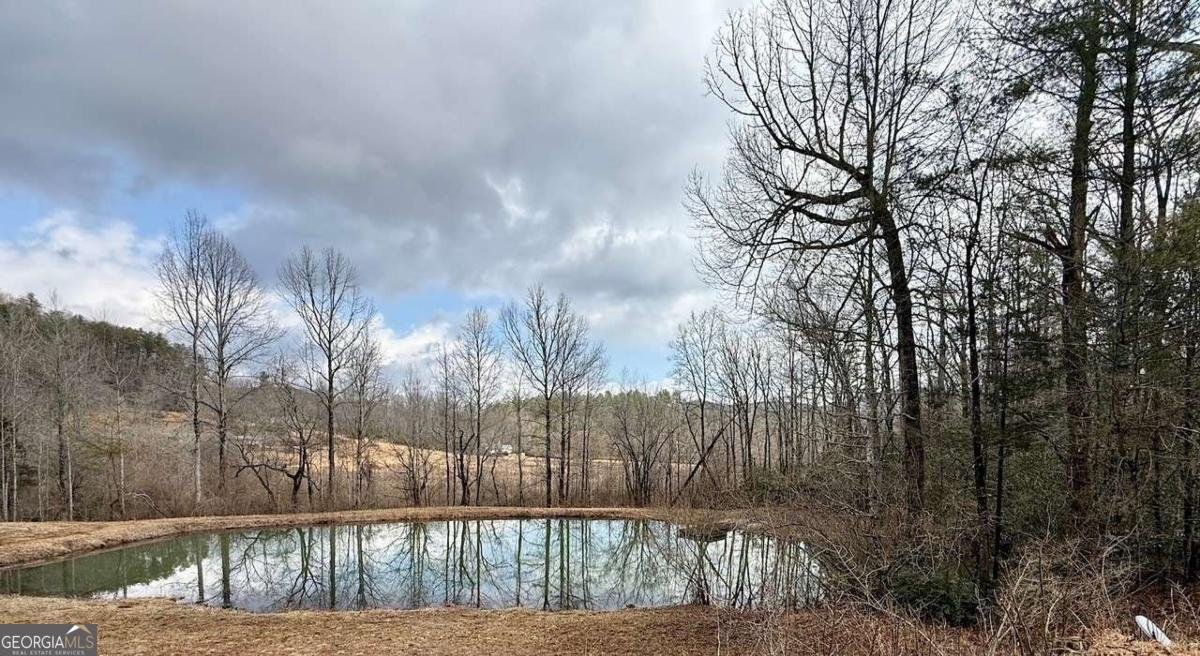 1365 Skylake Road Sautee Nacoochee - Photo 46