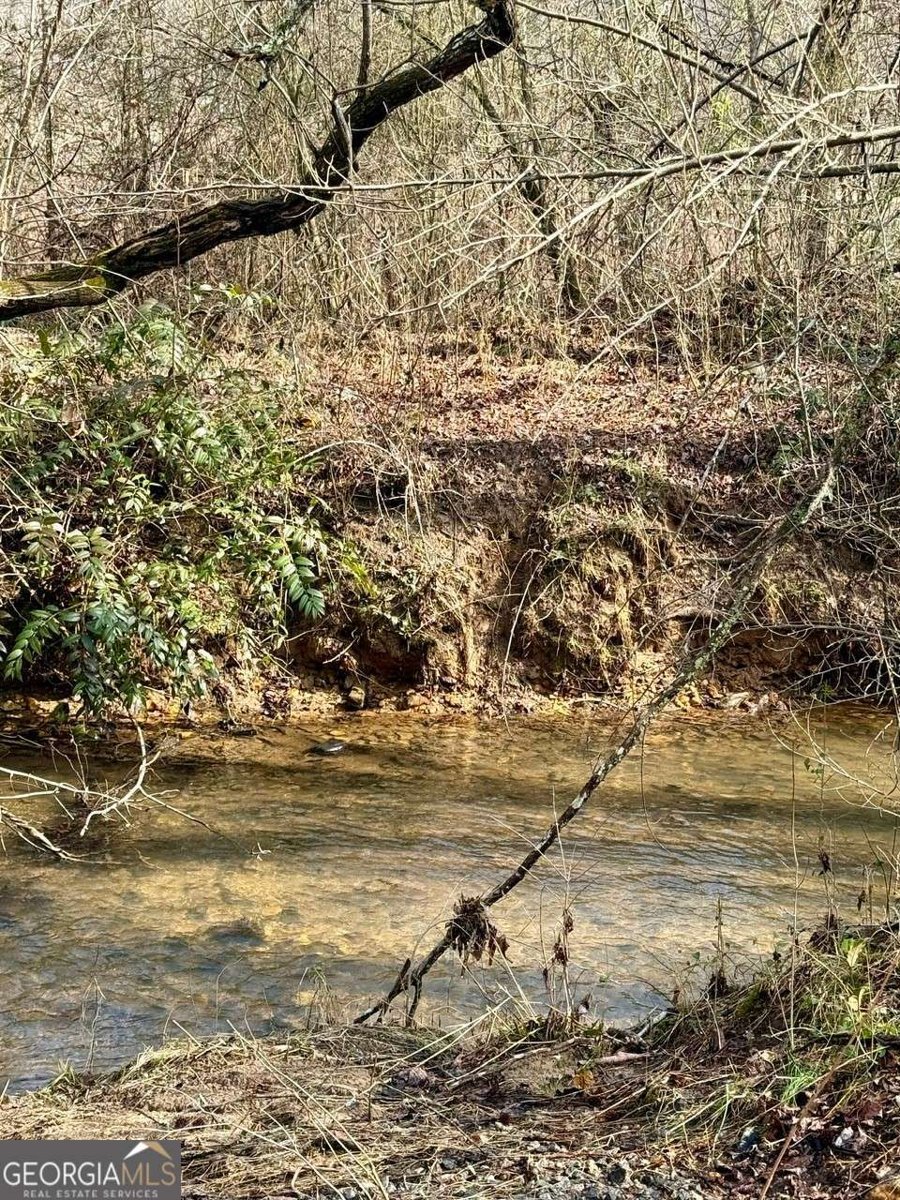 1365 Skylake Road Sautee Nacoochee - Photo 49